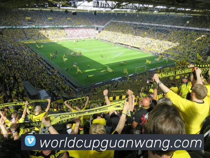 多媒体互动体验